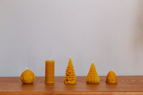 51 AAN 5D 0137 08 11 2025