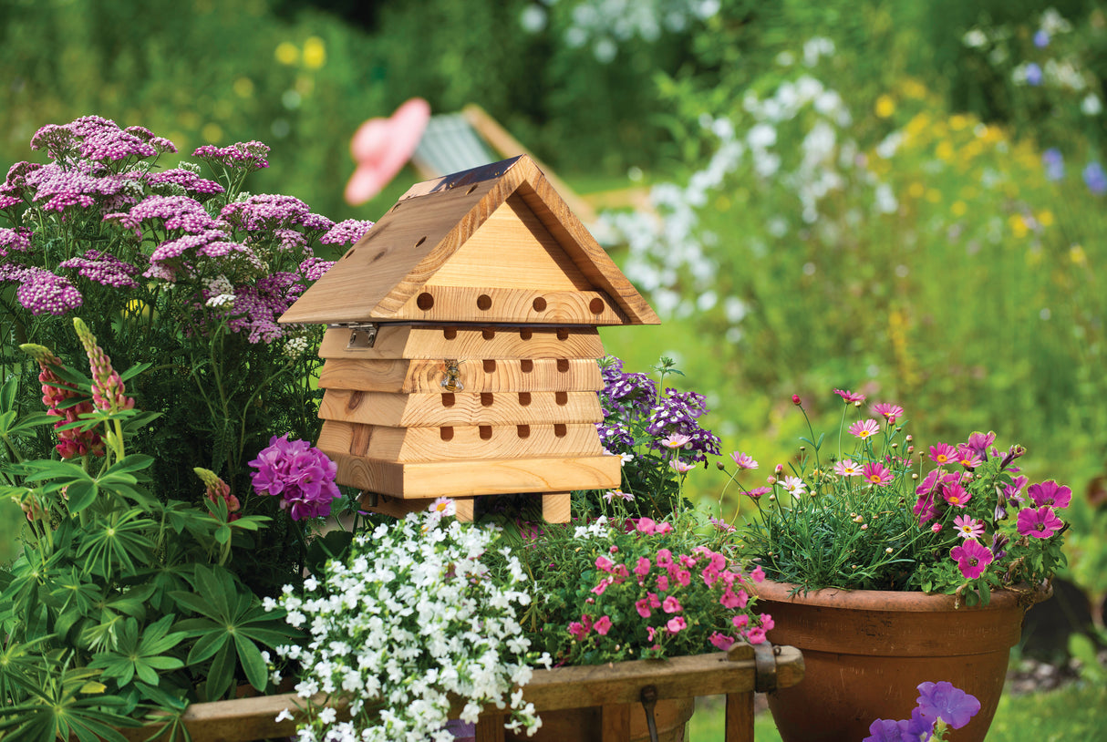 SBH2 Newimage niceflowers bee