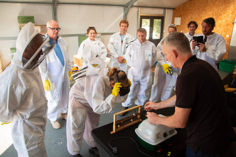 Sustainably Sweet: Our Journey Towards Greener Beekeeping and Skincare