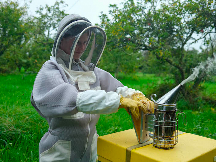 Sustainably Sweet: Our Journey Towards Greener Beekeeping and Skincare